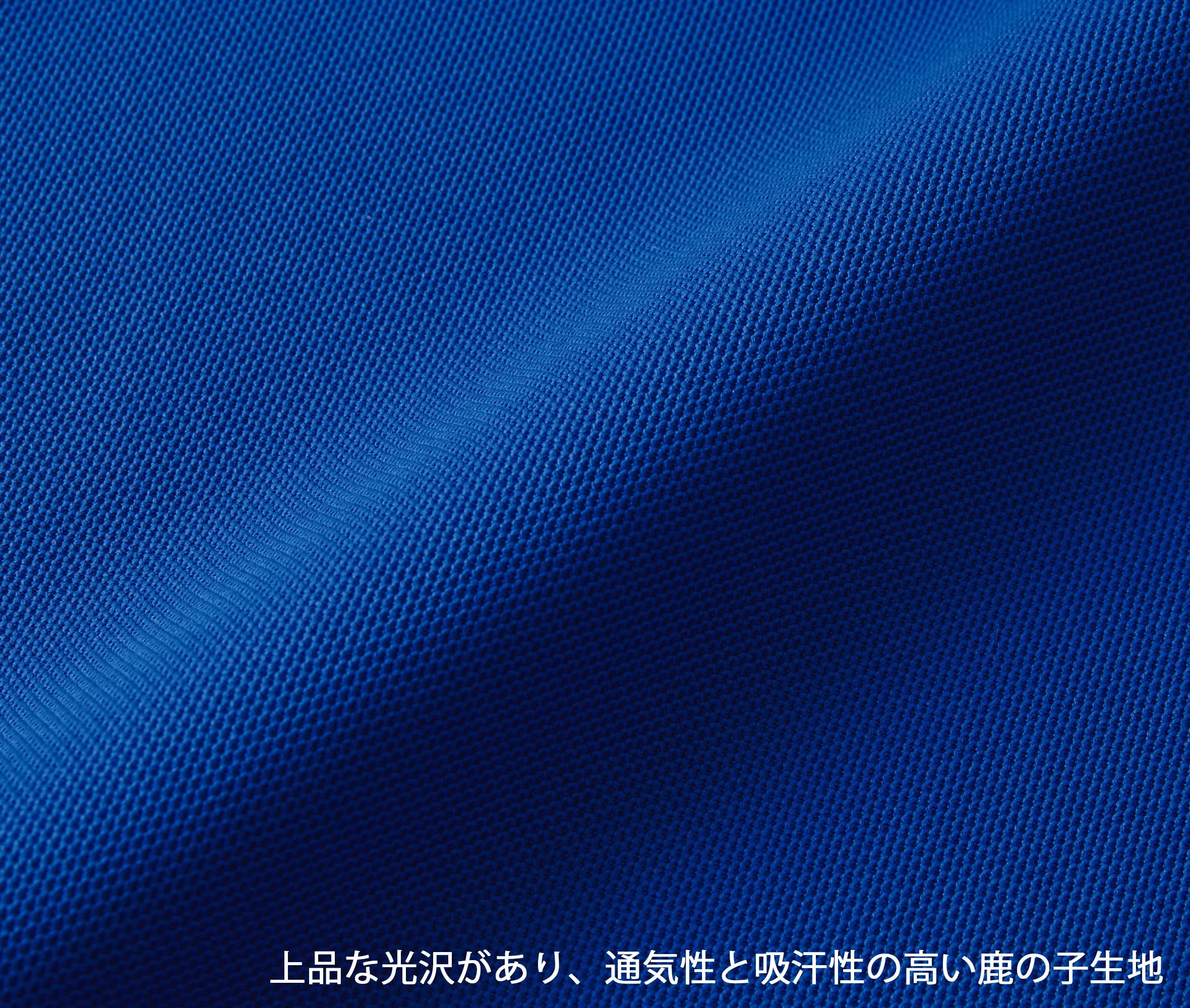 t-シャツ イメージ画像