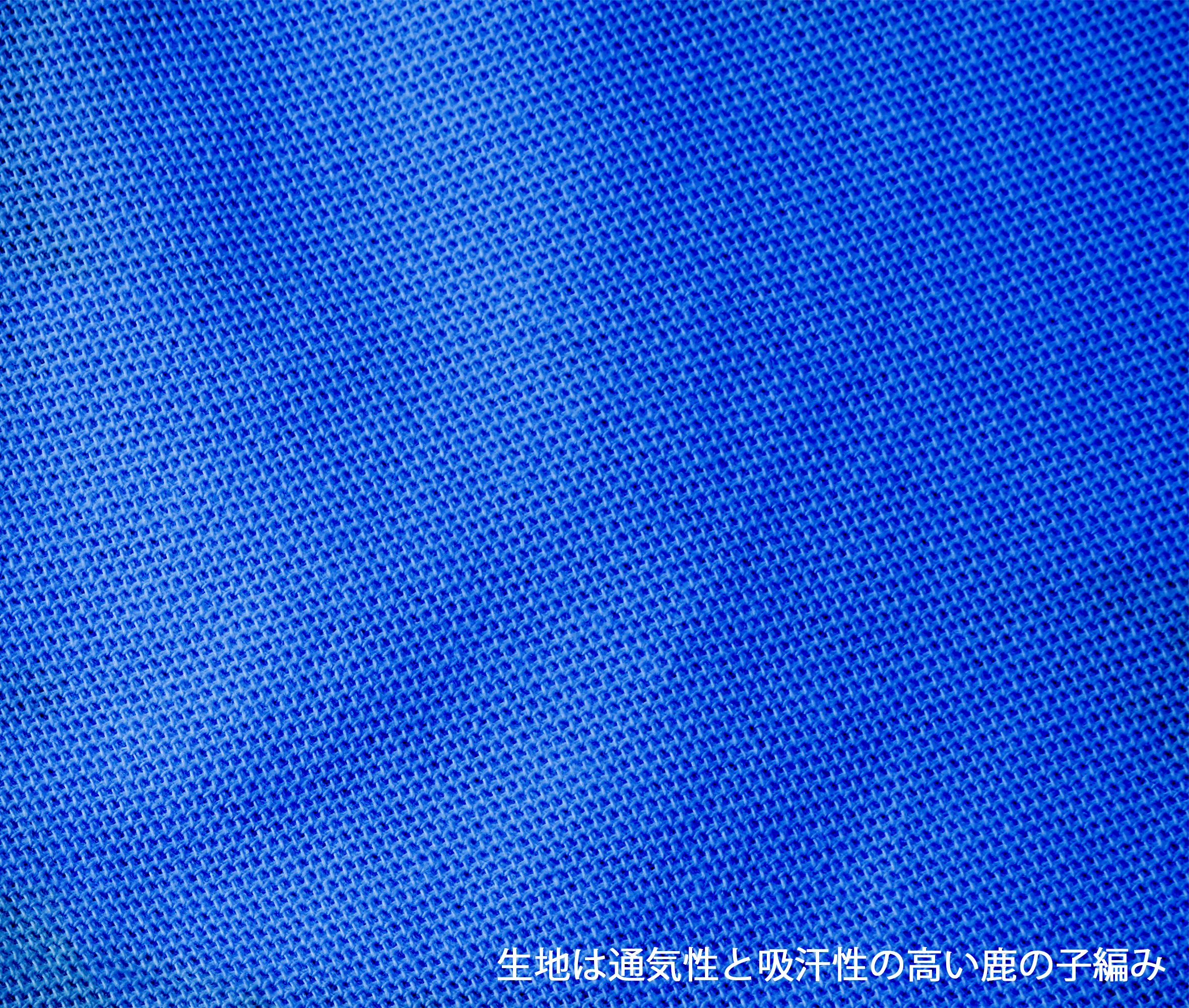 t-シャツ イメージ画像