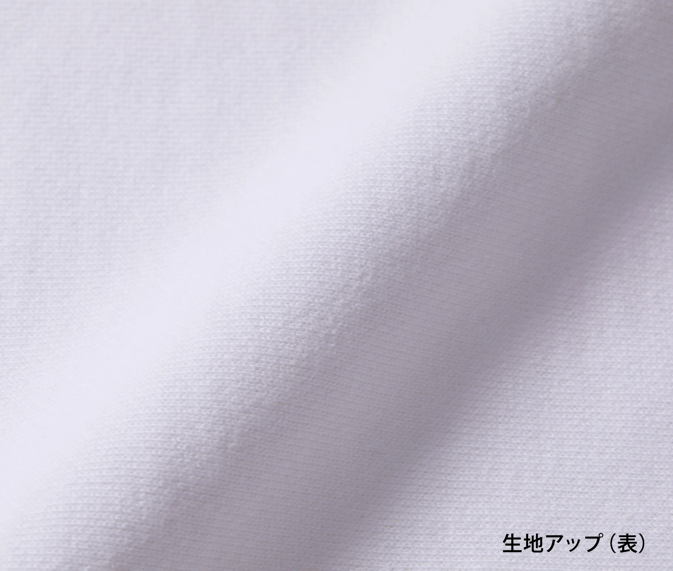 t-シャツ イメージ画像