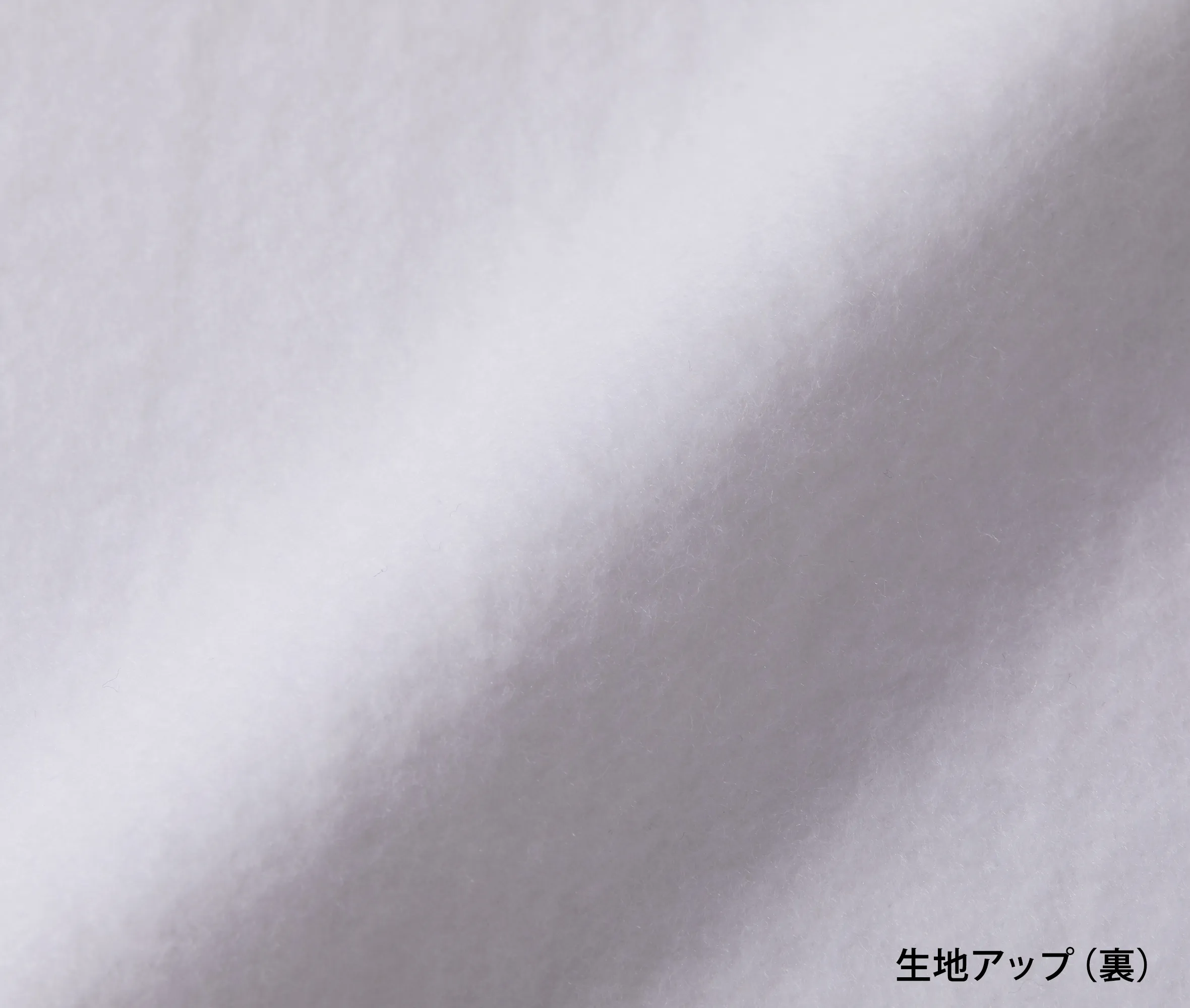 t-シャツ イメージ画像