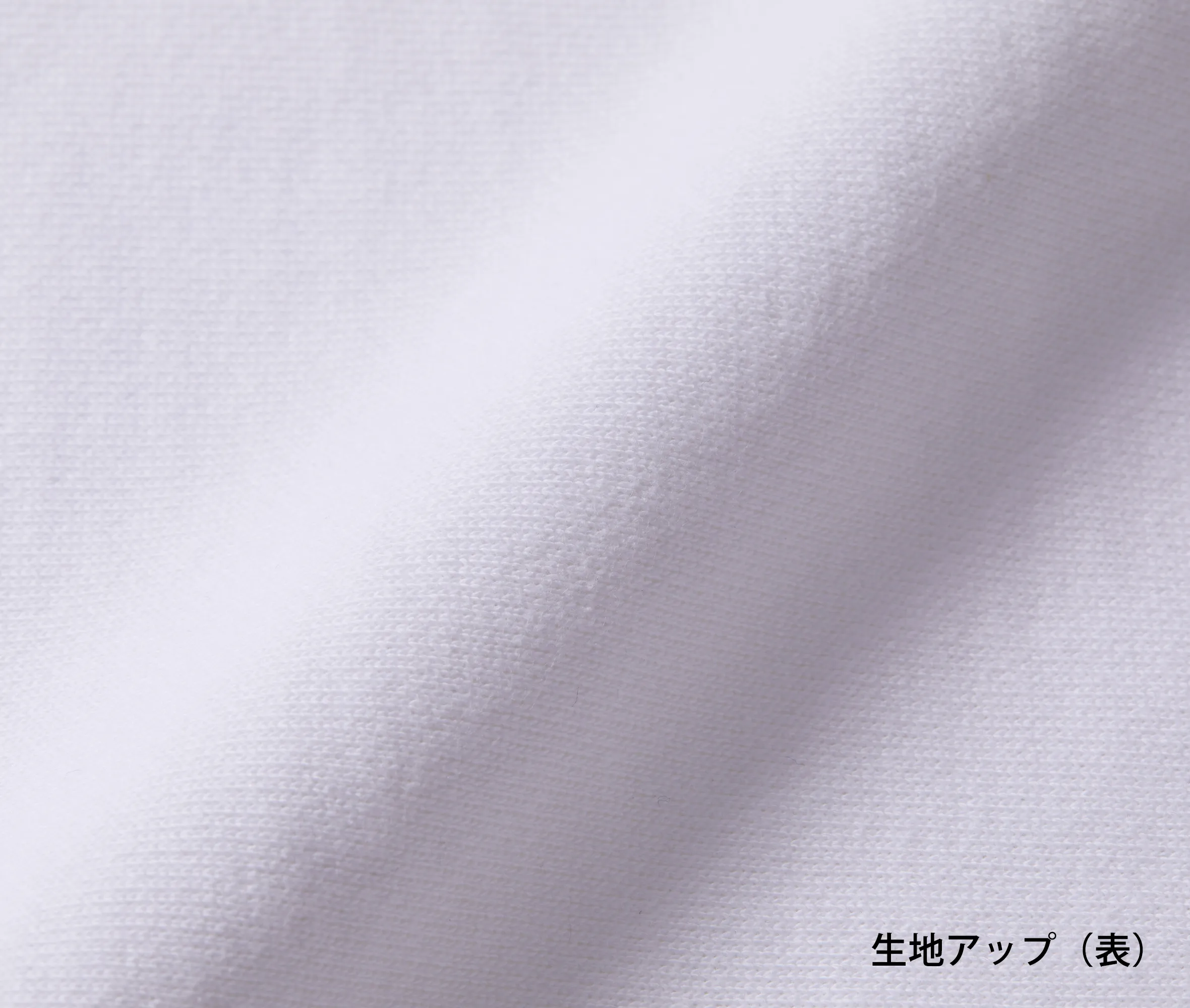 t-シャツ イメージ画像