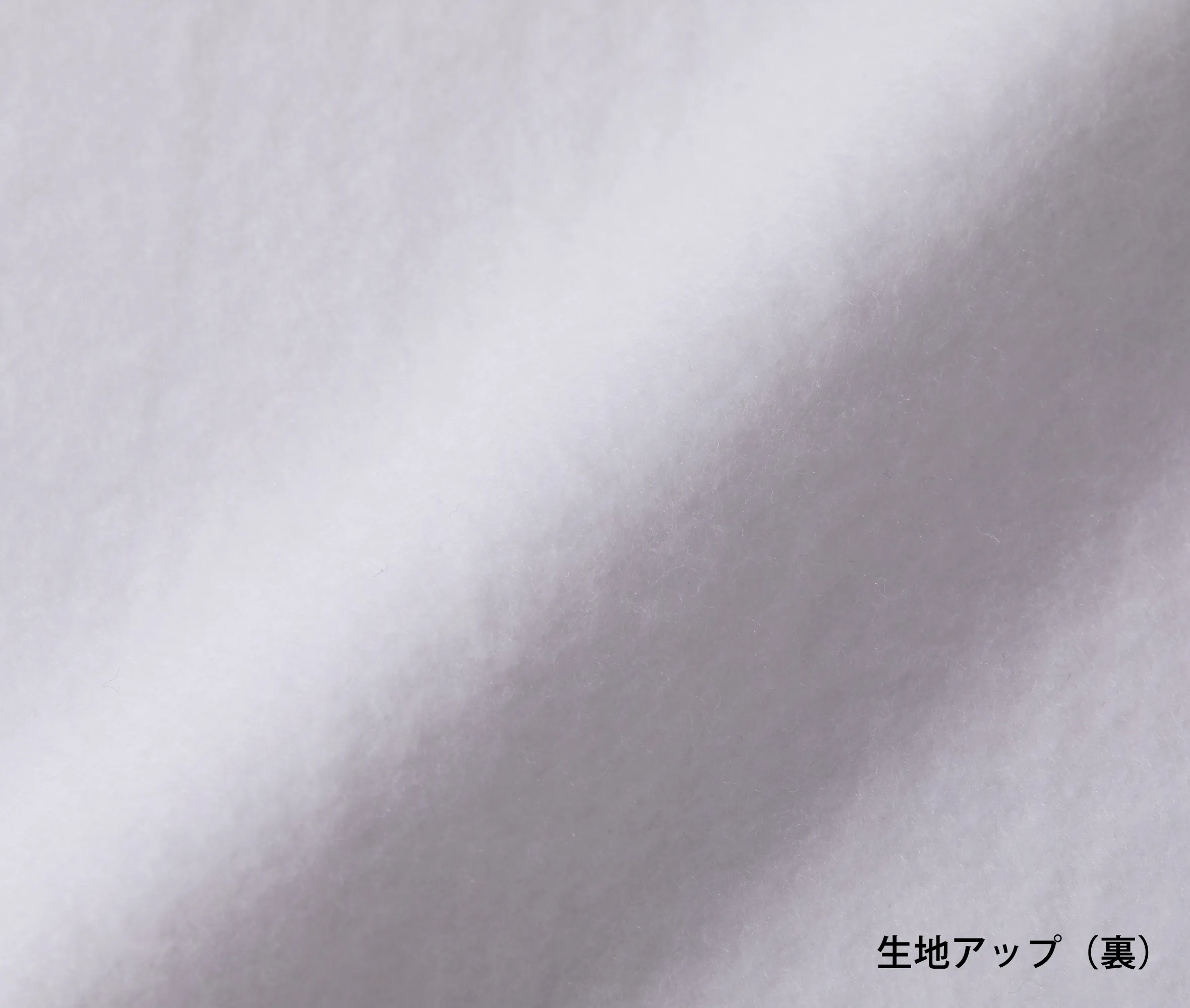 t-シャツ イメージ画像