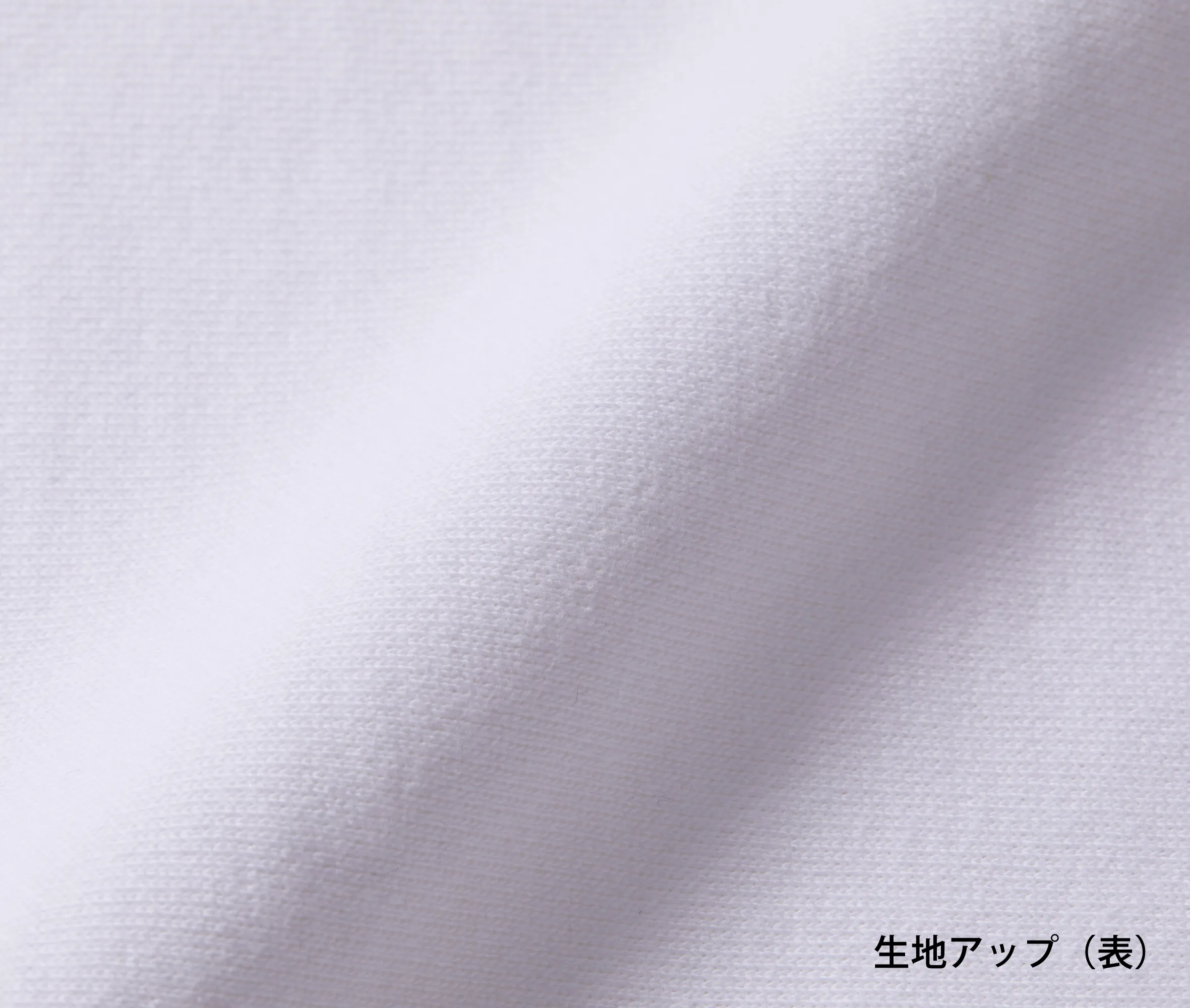 t-シャツ イメージ画像