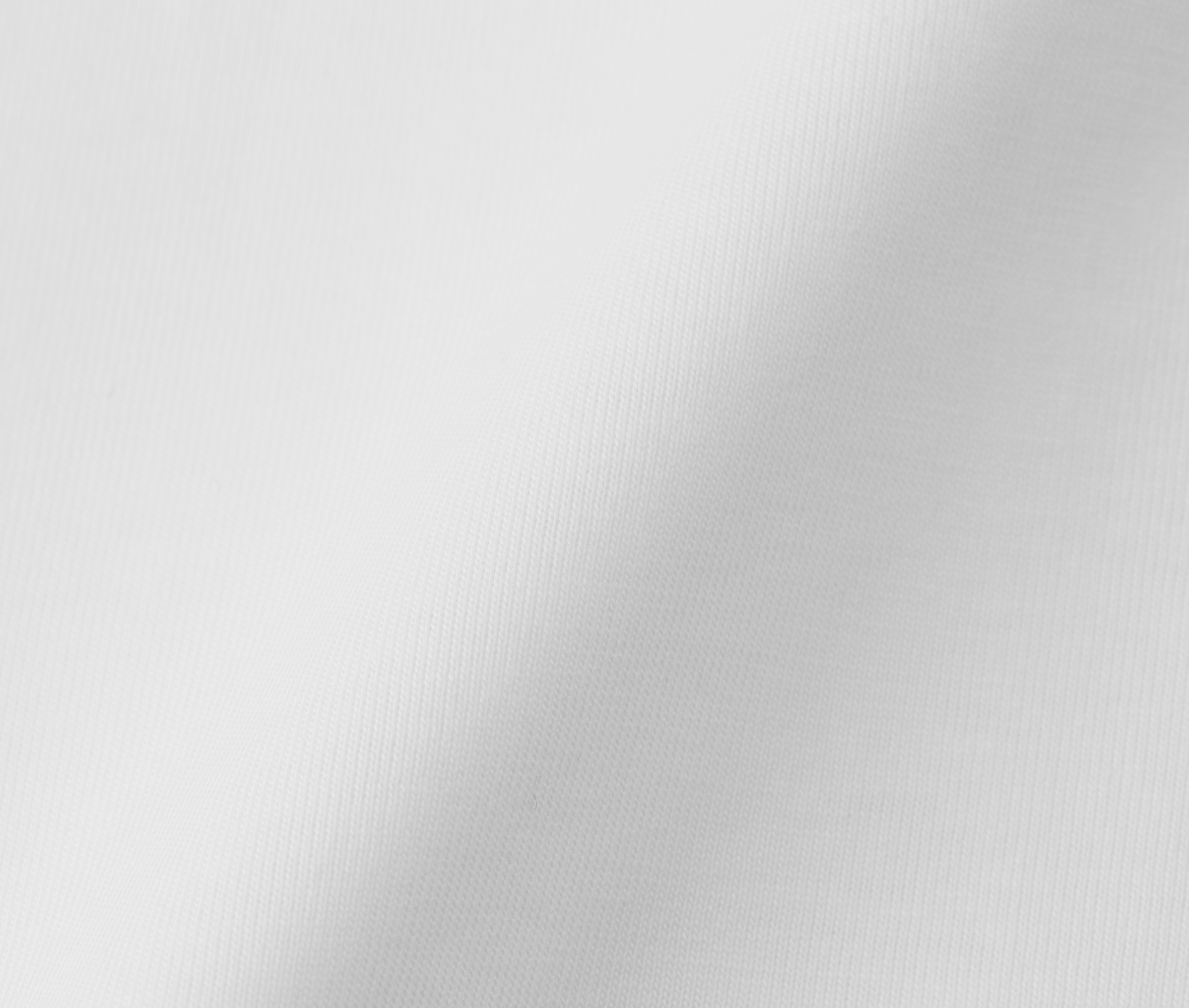 t-シャツ イメージ画像