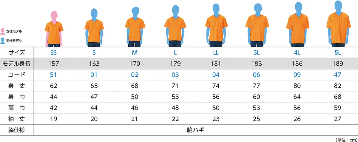 t-シャツ イメージ画像