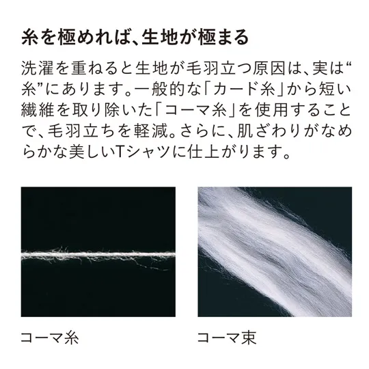 t-シャツ イメージ画像