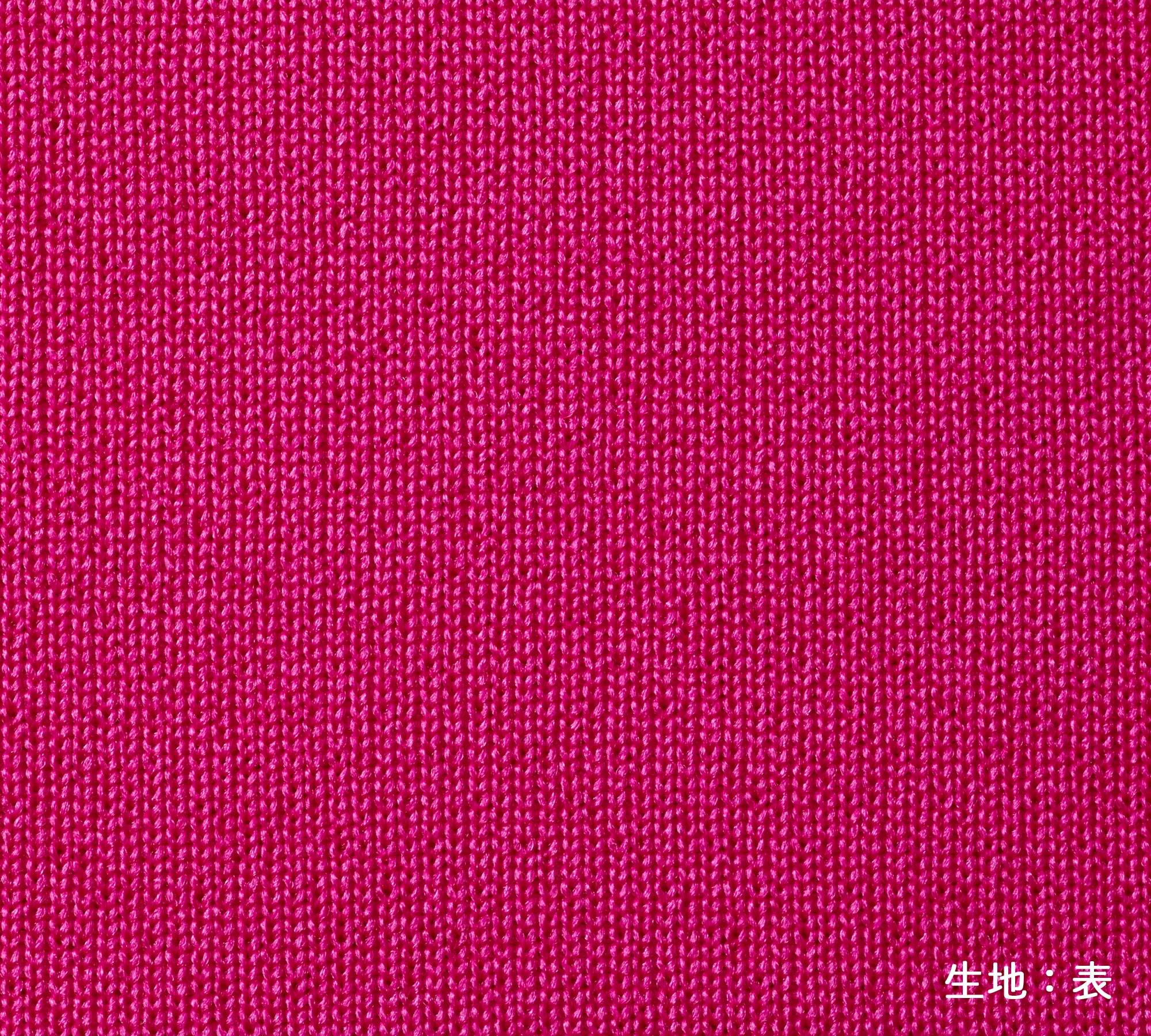 t-シャツ イメージ画像
